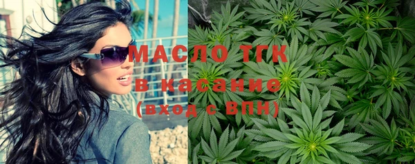 молекула духа Заводоуковск