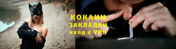 молекула духа Заводоуковск