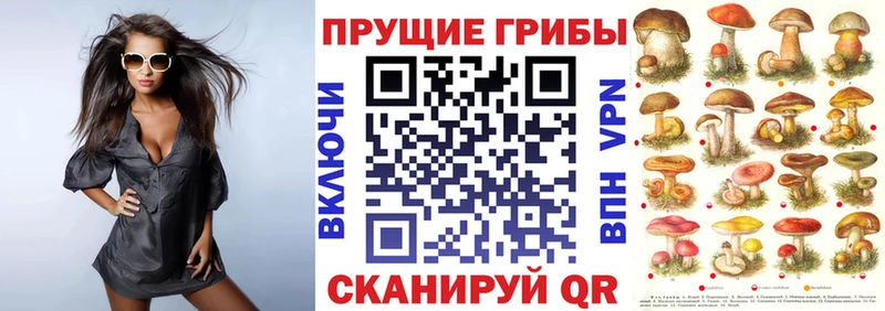Галлюциногенные грибы Magic Shrooms Купить закладки Курчалой